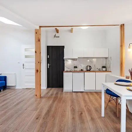 Apartment Drukarnia Lodz